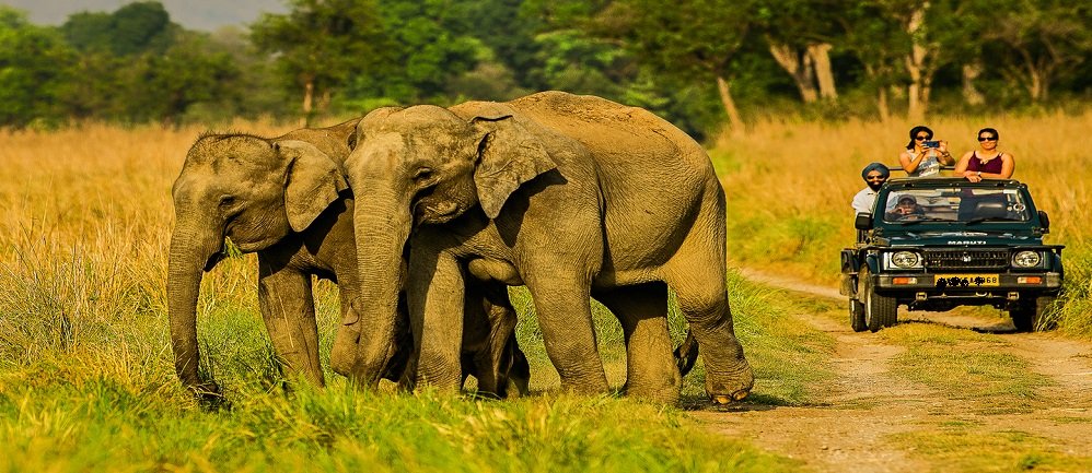 Kanha National Park